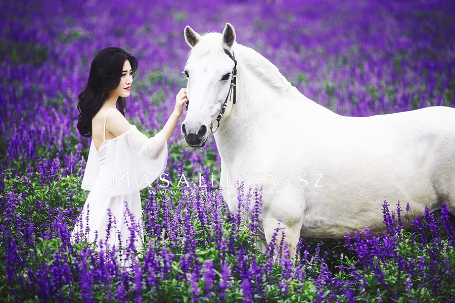 黄小姐牧马庄园写真外景七彩花田唯美森系个人写真照深圳摄影瑪莎莉莉出品