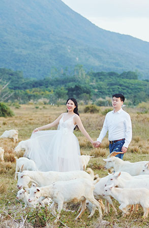 杨先生&吴小姐夫妇幸福浪漫牧场婚纱照 深圳婚纱摄影瑪莎LiLi出品