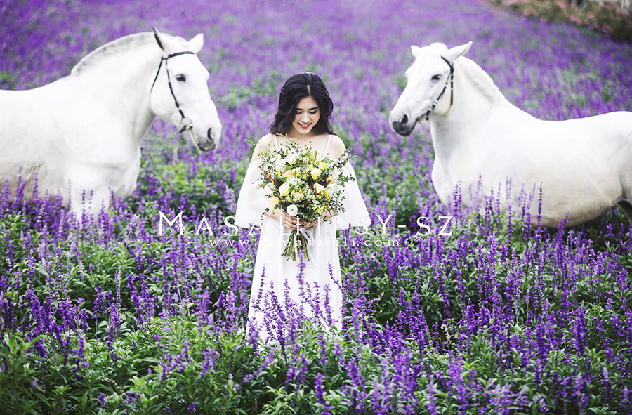 黄小姐牧马庄园写真外景七彩花田唯美森系个人写真照深圳摄影瑪莎莉莉出品