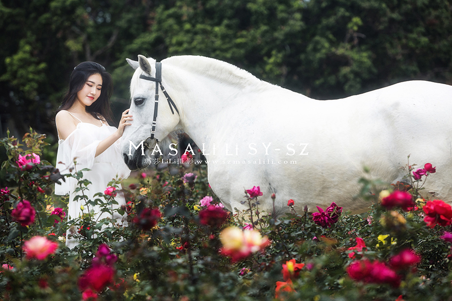 黄小姐牧马庄园写真外景七彩花田唯美森系个人写真照深圳摄影瑪莎莉莉出品