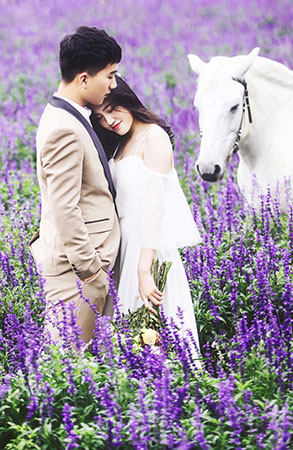 和先生&黄小姐夫妇浪漫婚纱照七彩花田马场婚纱照深圳婚纱摄影瑪莎莉莉出品