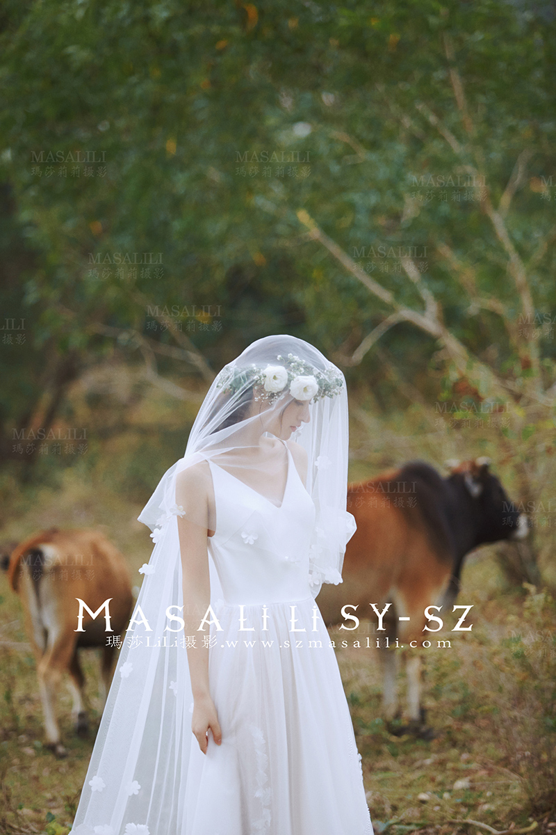 蔡先生夫妇幸福浪漫婚纱照