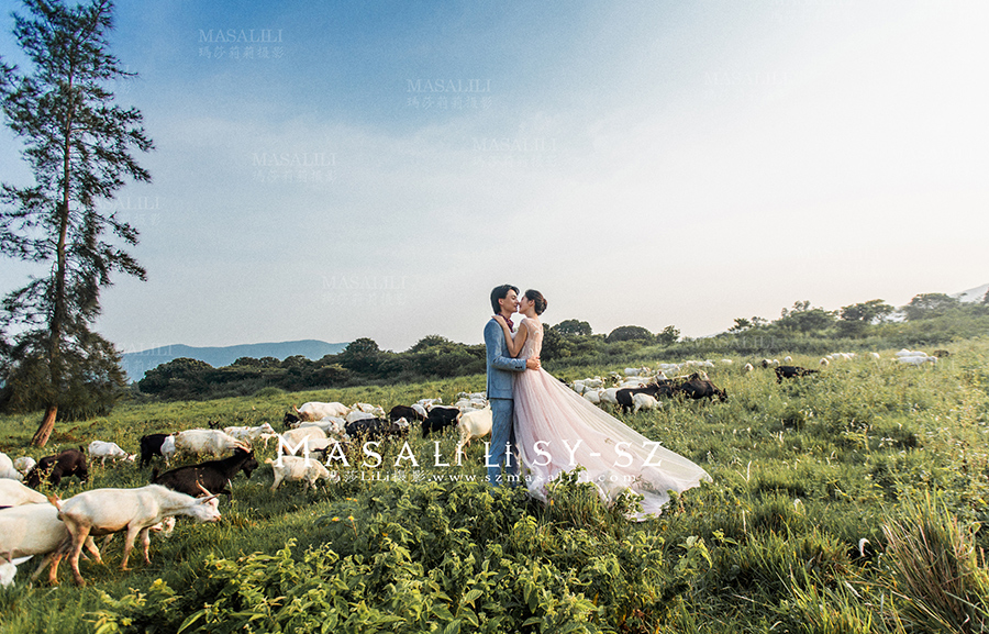 陈先生&刘小姐夫妇电影胶片婚纱照                               菲林婚纱摄影创意婚纱照