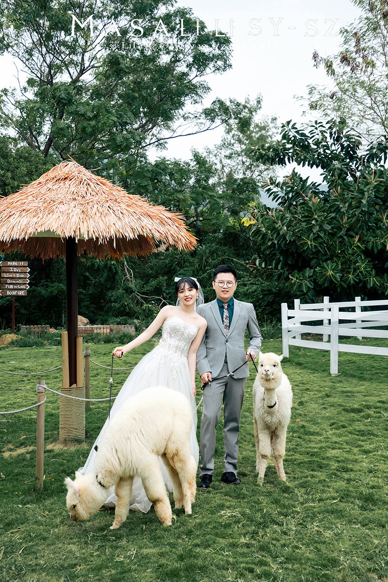 姚小姐夫妇青青牧场婚纱照                             深圳婚纱摄影工作室