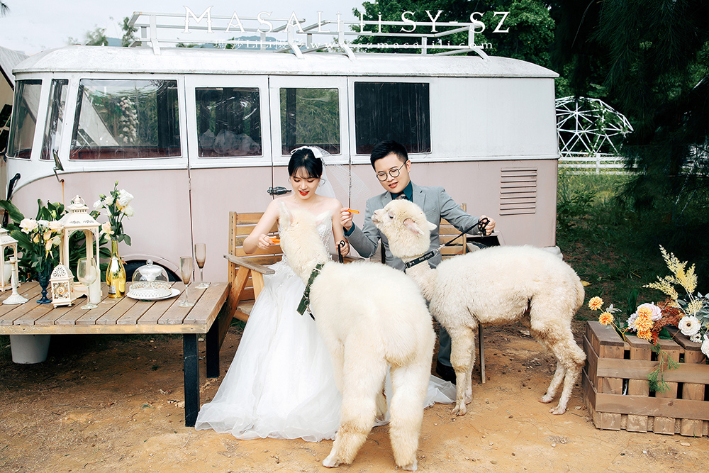 姚小姐夫妇青青牧场婚纱照                             深圳婚纱摄影工作室