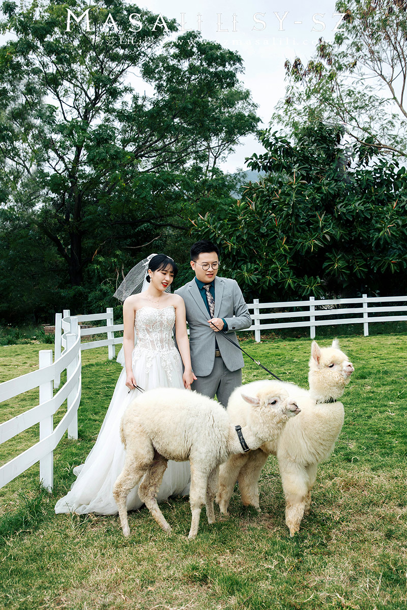 姚小姐夫妇青青牧场婚纱照                             深圳婚纱摄影工作室