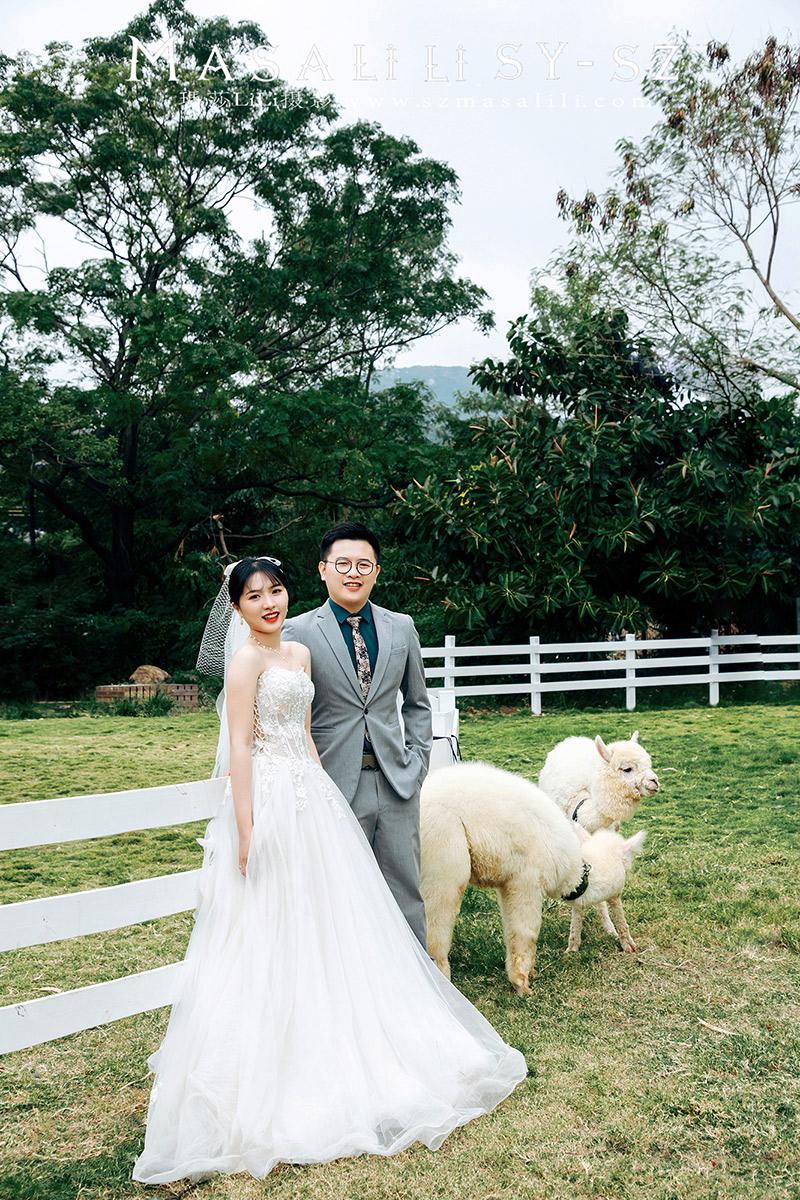 姚小姐夫妇青青牧场婚纱照                             深圳婚纱摄影工作室