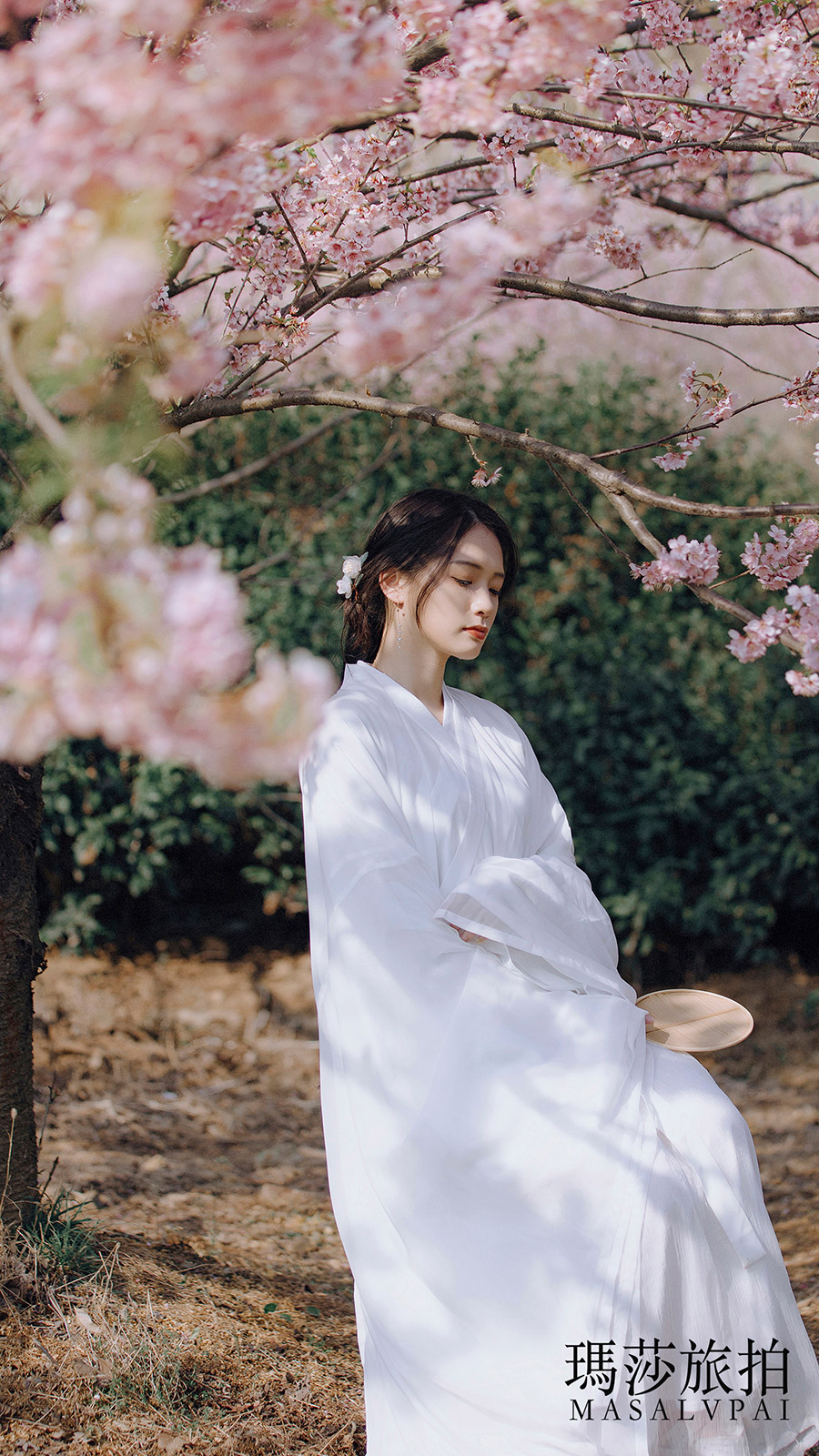 刘小姐樱花             汉服写真