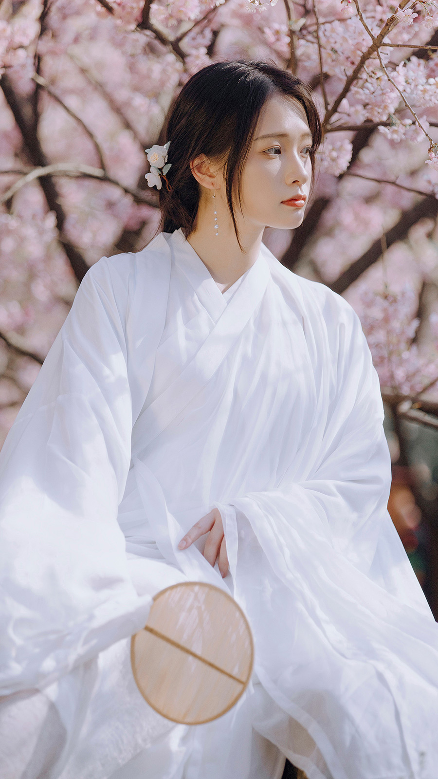刘小姐樱花             汉服写真