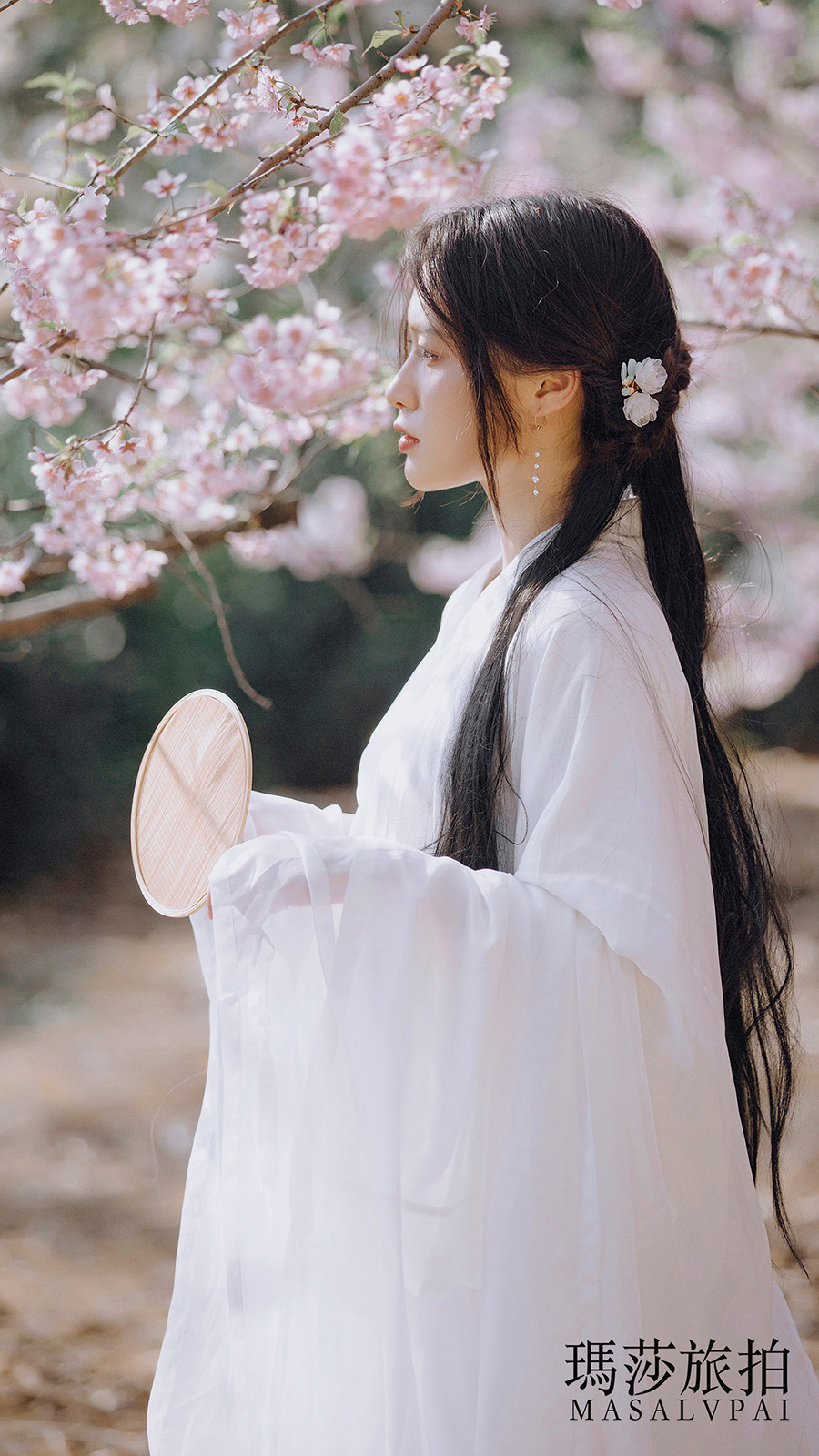 刘小姐樱花             汉服写真