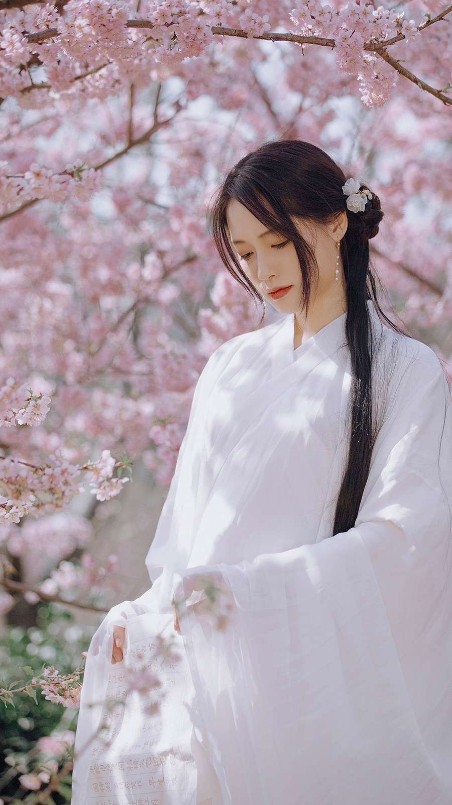 刘小姐樱花             汉服写真