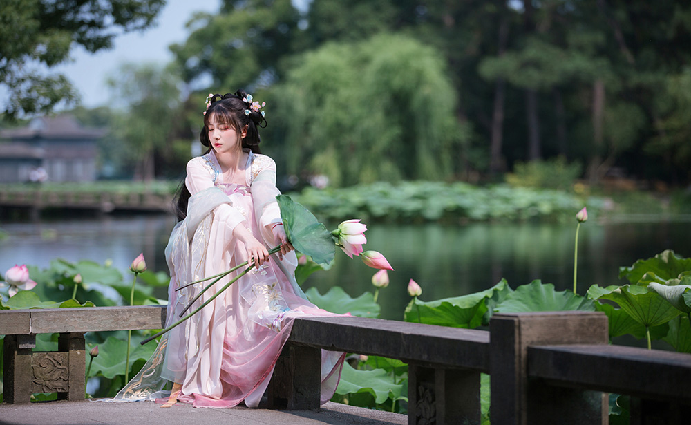 萌萌                              洪湖公园 荷花写真
