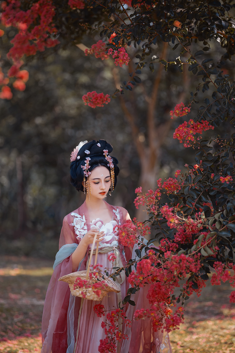 刘小姐仙湖公园紫薇花                   深圳外景写真
