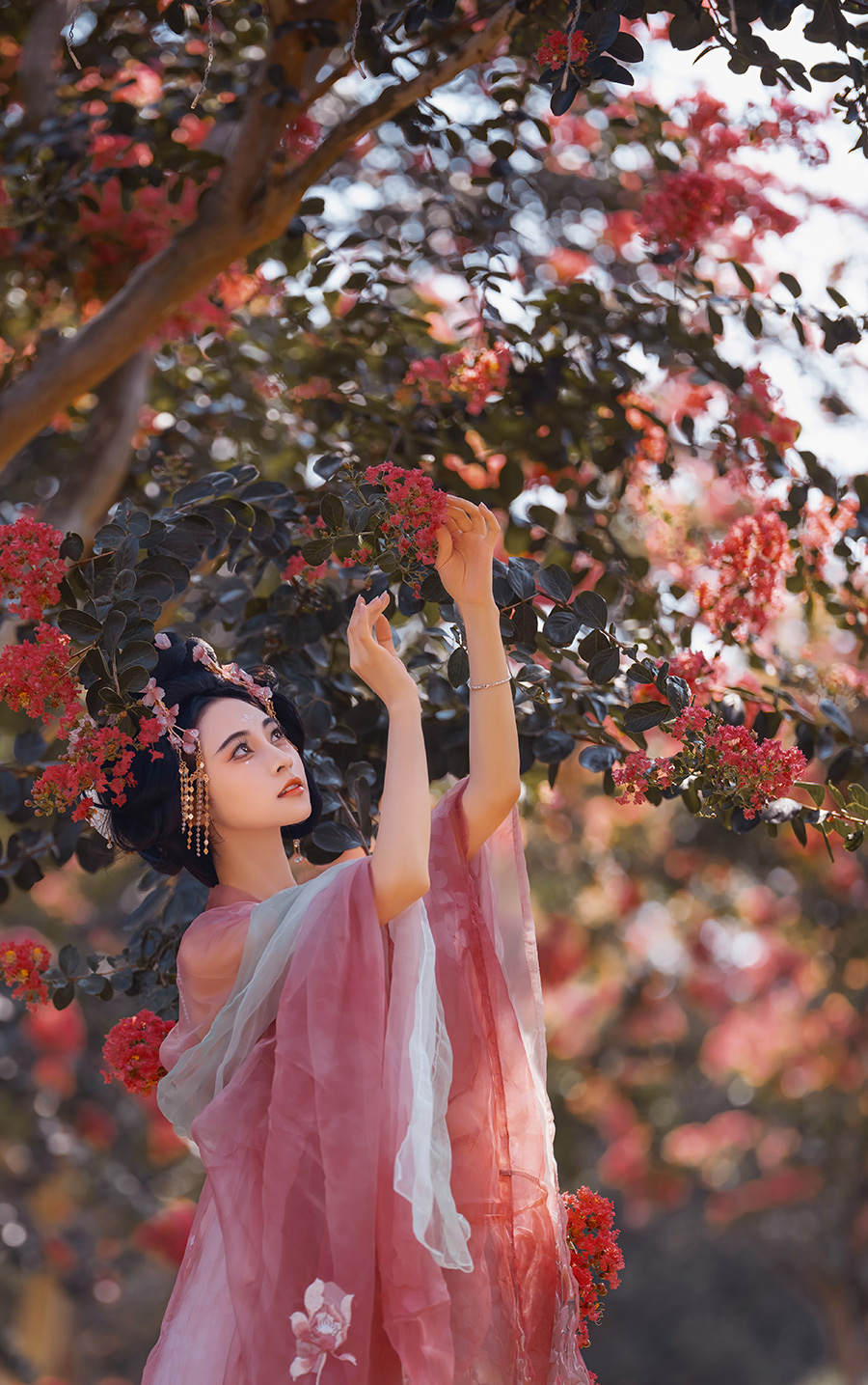 刘小姐仙湖公园紫薇花                   深圳外景写真