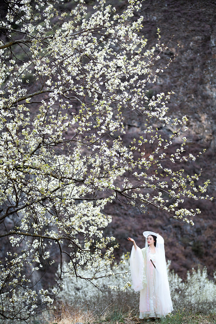袁小姐石门公园                         深圳汉服写真外景旅拍