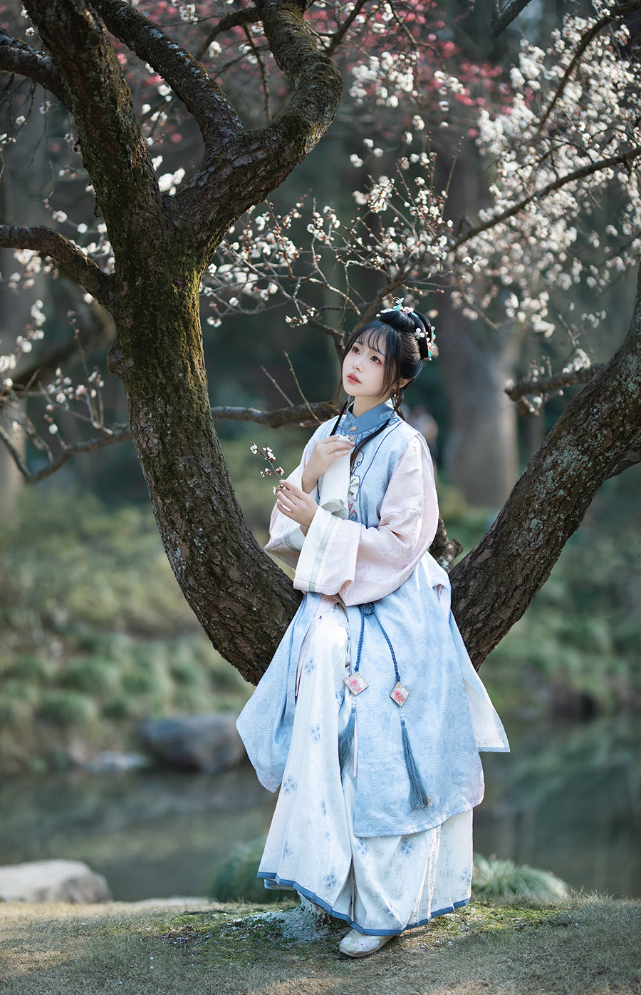 杨小姐梅园                         外景汉服写真