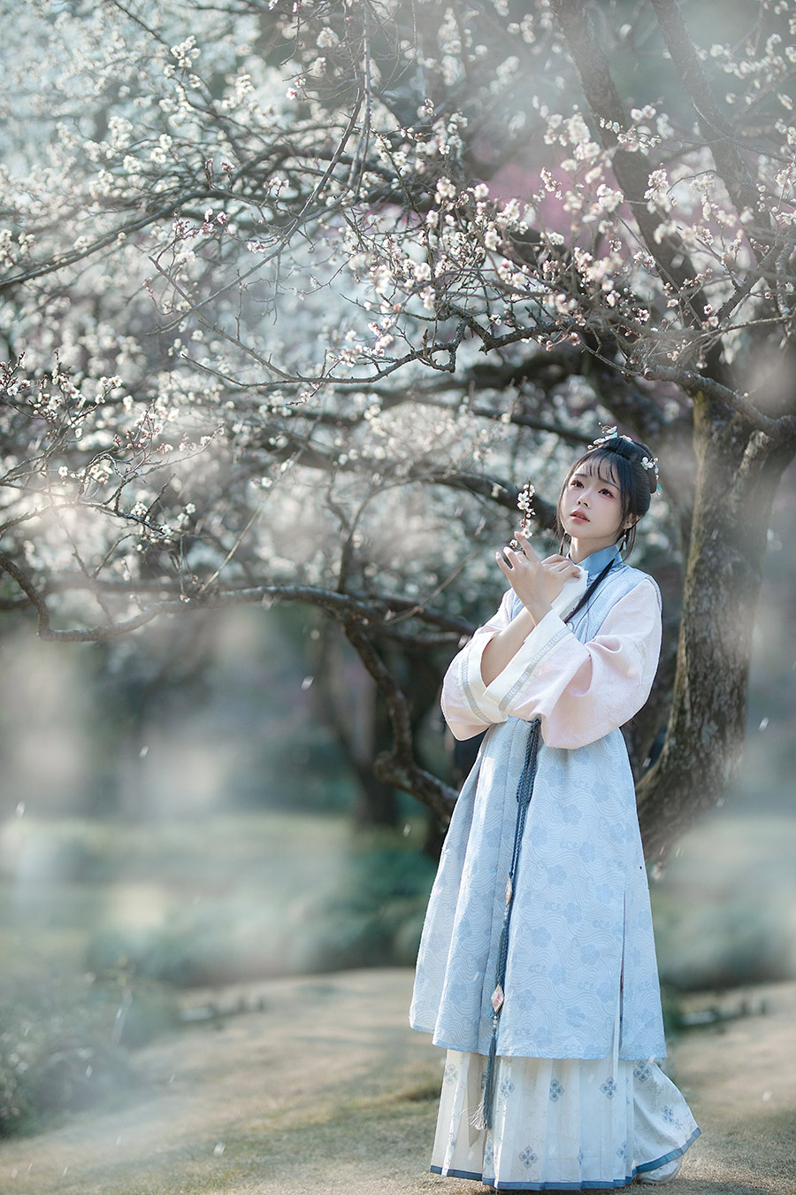 杨小姐梅园                         外景汉服写真